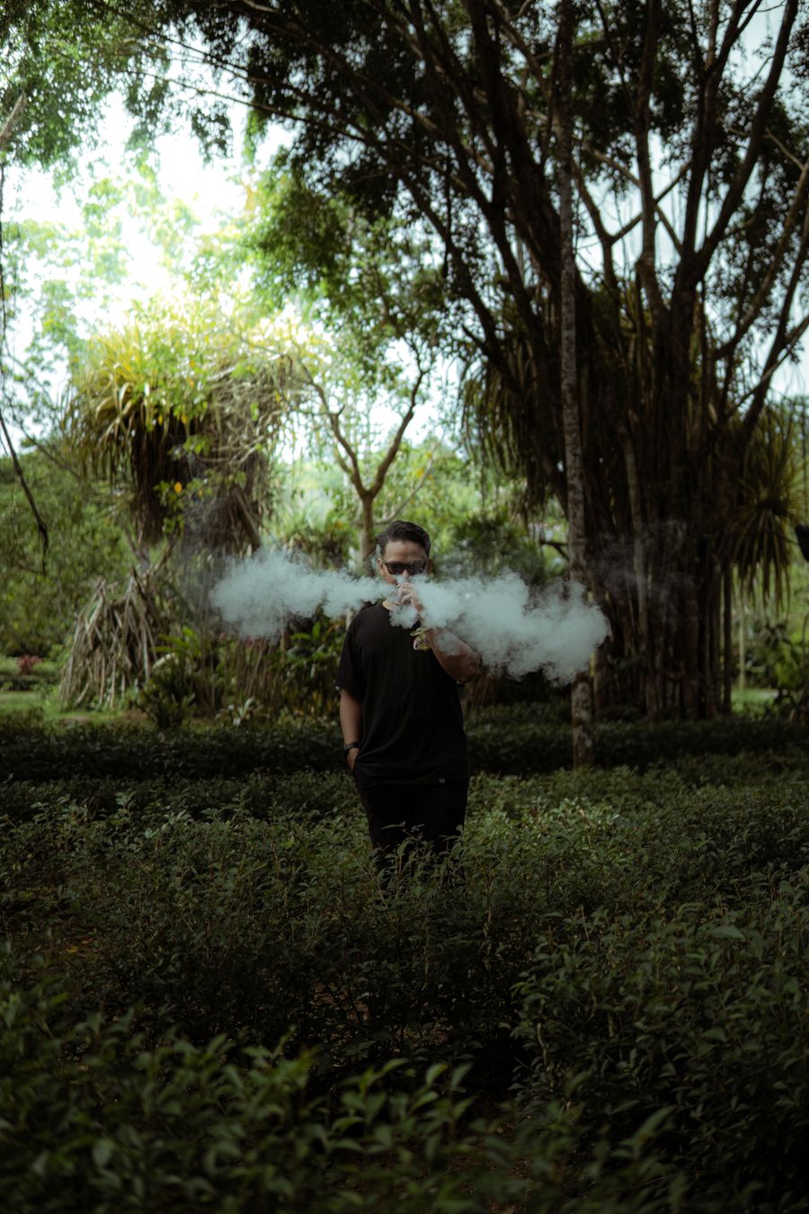 vape starter bundle